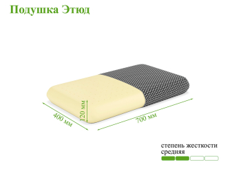 Подушка ЭОС Этюд Black Edition